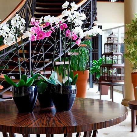 Cinar Hotel Κωνσταντινούπολη Εξωτερικό φωτογραφία