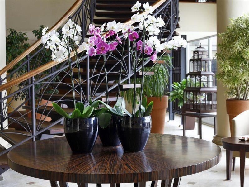 Cinar Hotel Κωνσταντινούπολη Εξωτερικό φωτογραφία